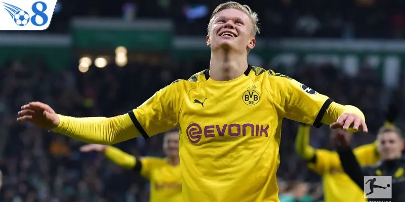 VĐQG Đức - Sức Hấp Dẫn Cháy Bỏng Của Giải Bundesliga 2 3 câu lạc bộ mạnh tại VĐQG Đức