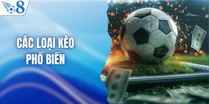 Các Loại Kèo Phổ Biến - Bí Kíp Soi Kèo Chuẩn Từ Chuyên Gia
