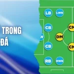 Tìm Hiểu Các Vị Trí Trong Bóng Đá Và Vai Trò Từng Cầu Thủ