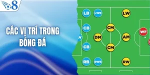 Tìm Hiểu Các Vị Trí Trong Bóng Đá Và Vai Trò Từng Cầu Thủ