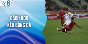 Cách Đọc Kèo Bóng Đá Cho Người Mới - Giải Mã 3 Kèo Cơ Bản